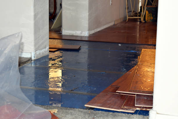 Professional Storm Water Damage Restoration technician working in Huffman, TX